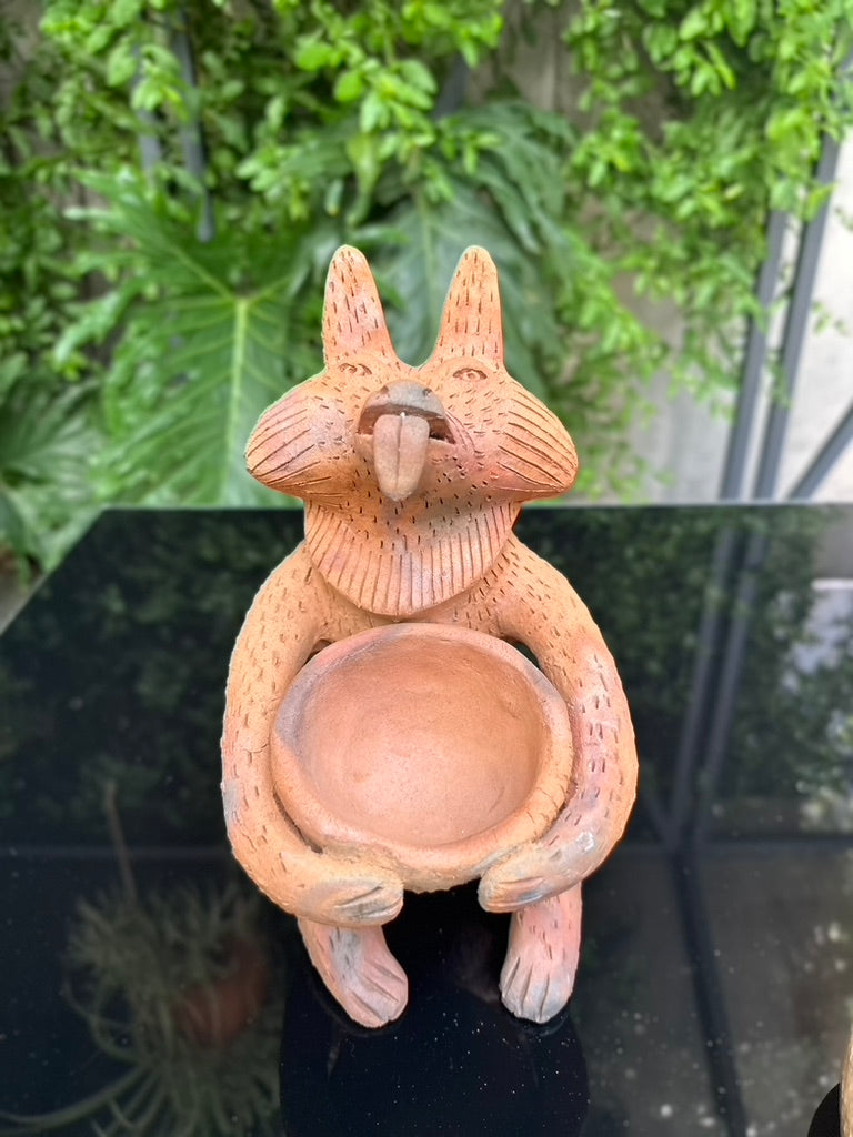Coyote copalero