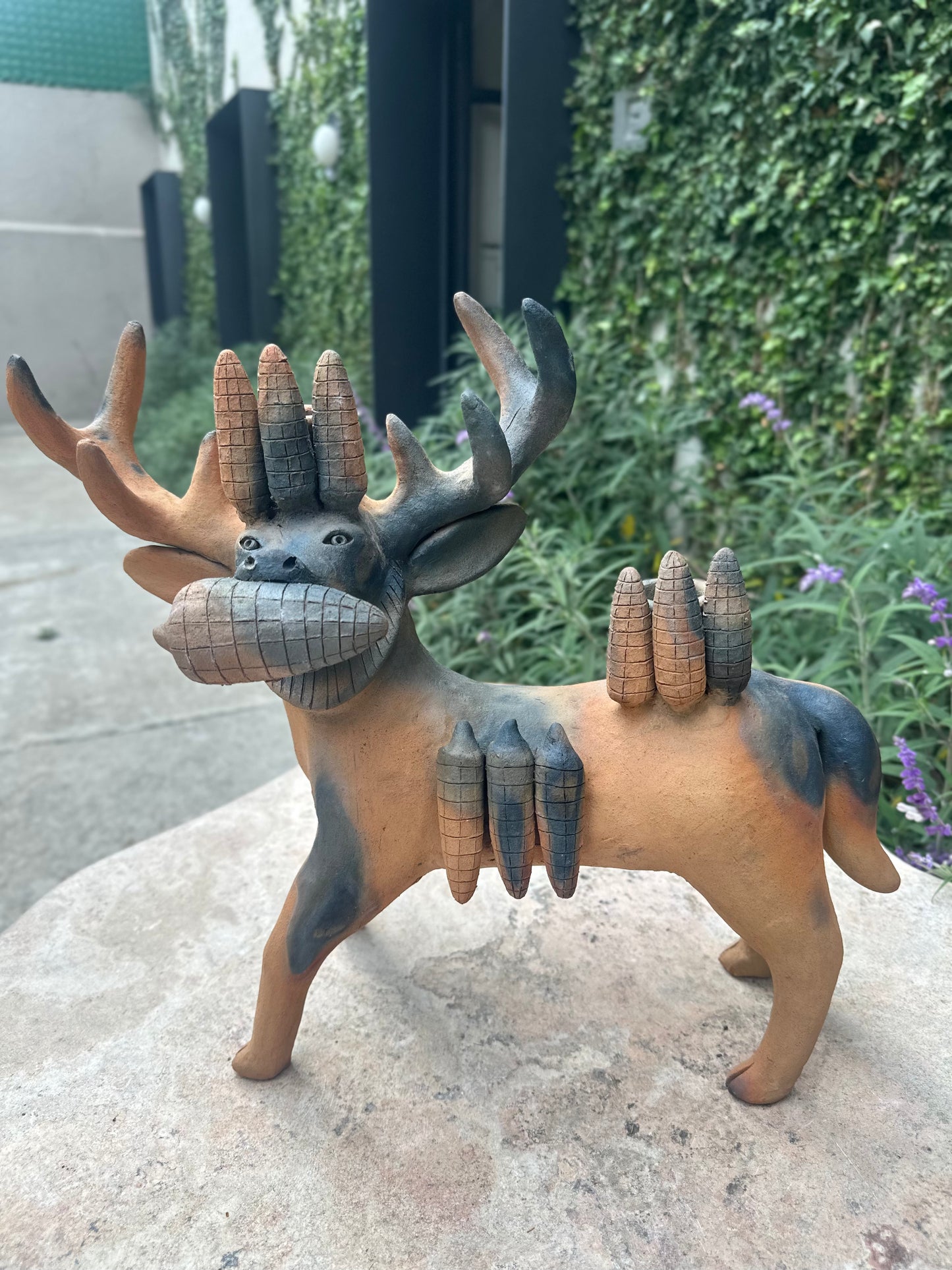 Venado elotero