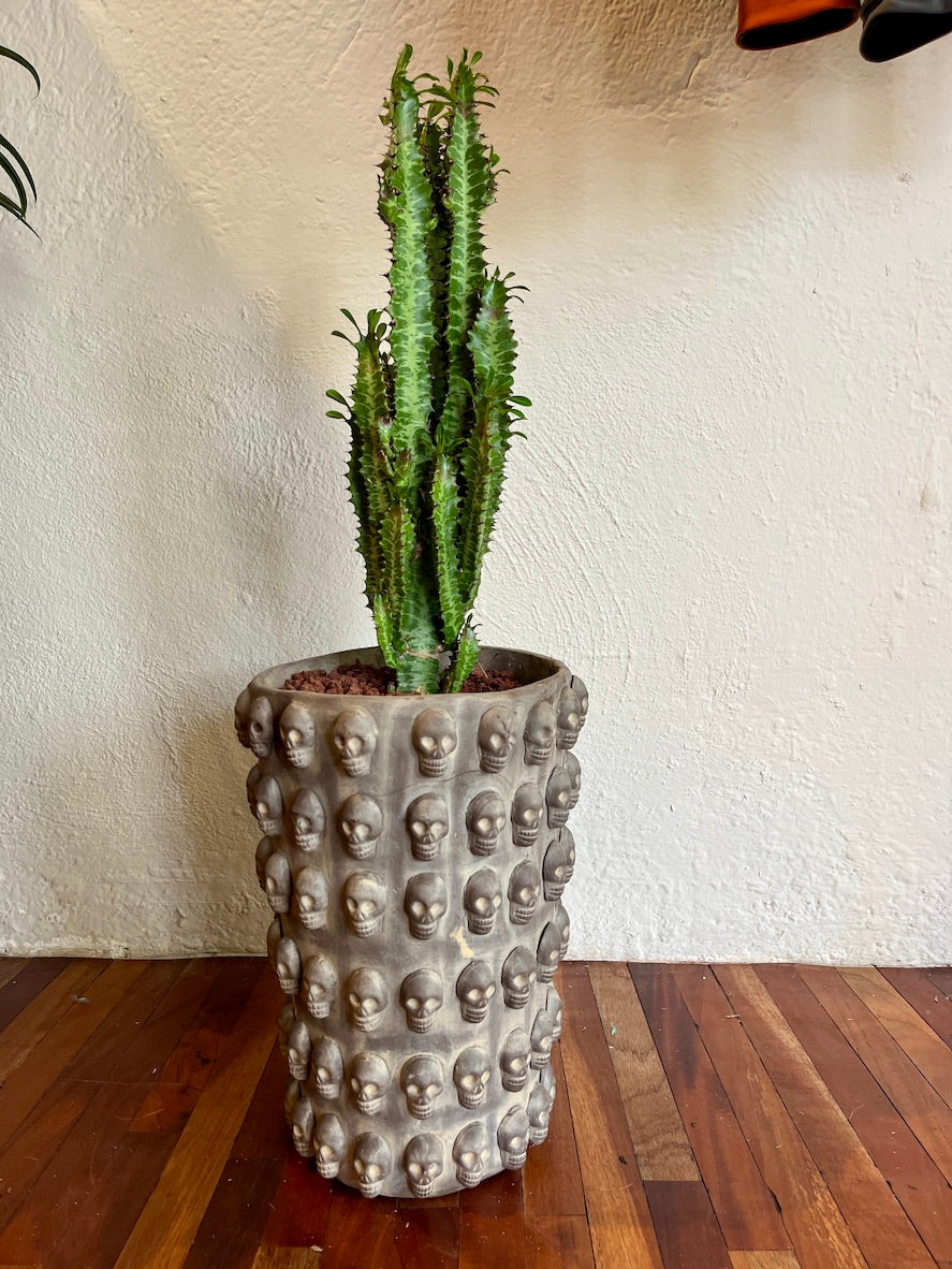 Maceta calacas XL