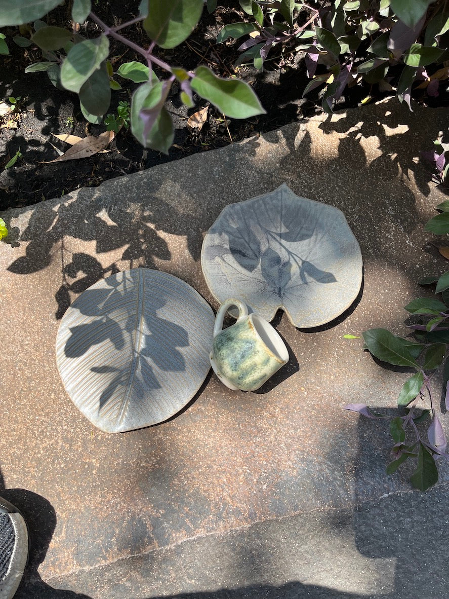 Platos botaneros de hoja