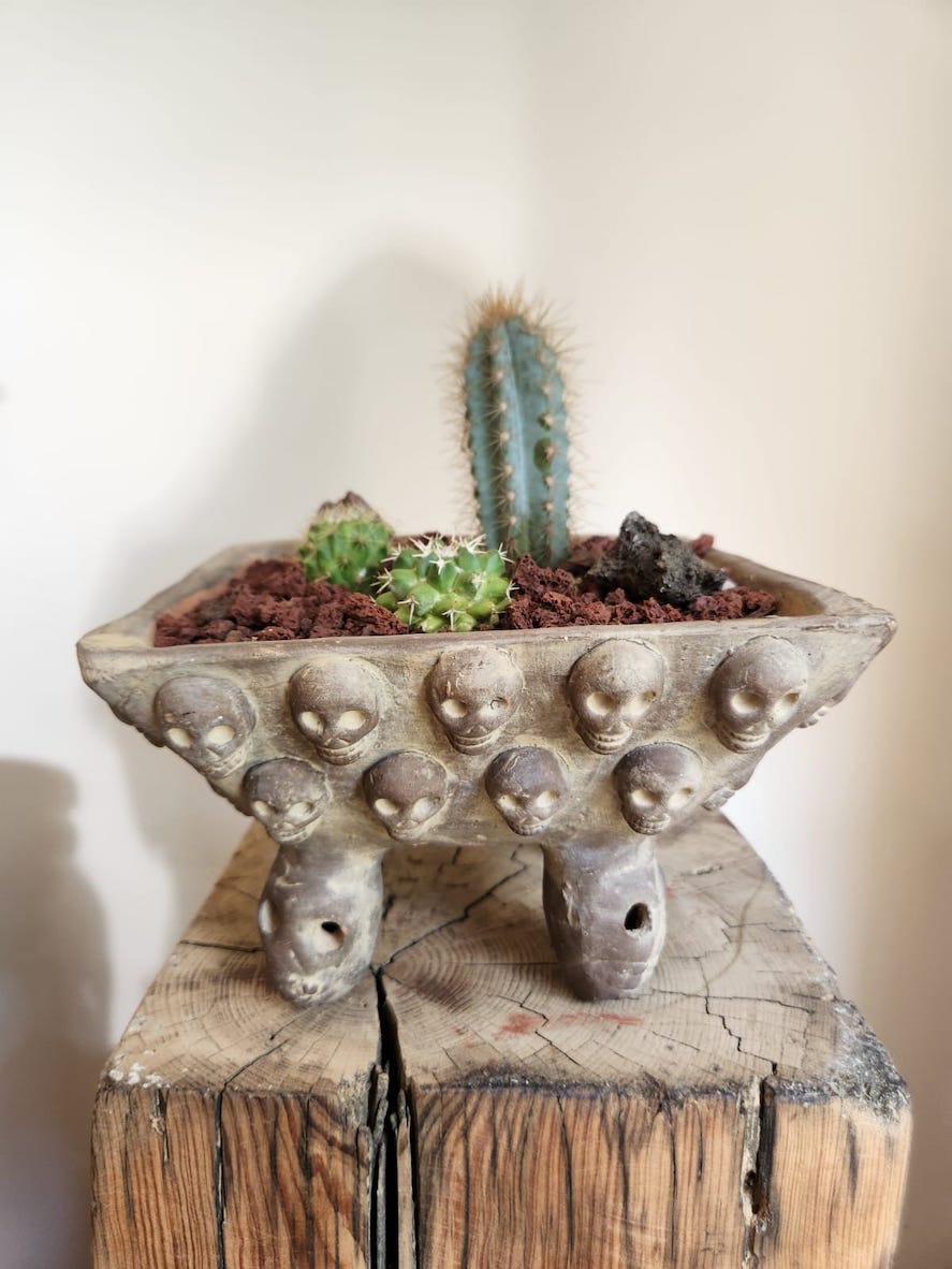 Terrario de calacas cuadrado con cactus