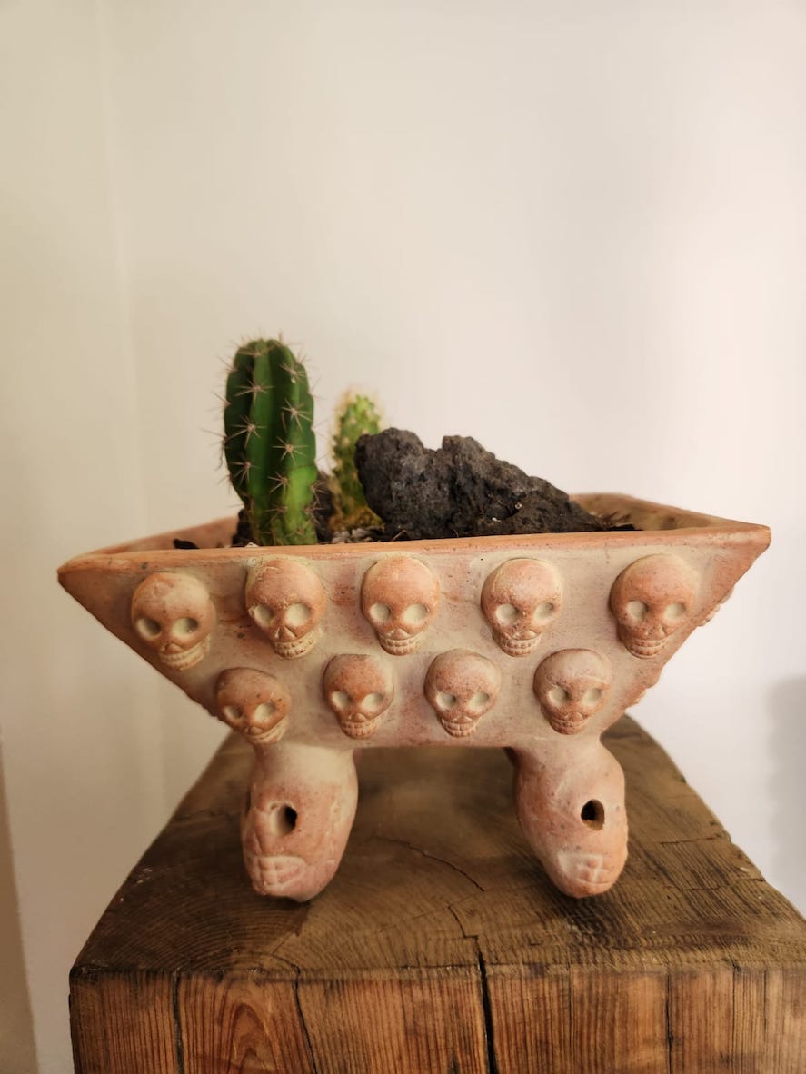 Terrario de calacas cuadrado con cactus