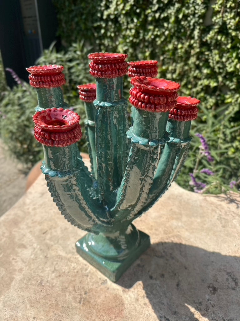 Candelabro cactus azul con rojo