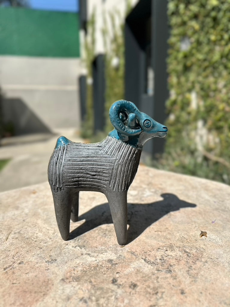 Chivo chia grande
