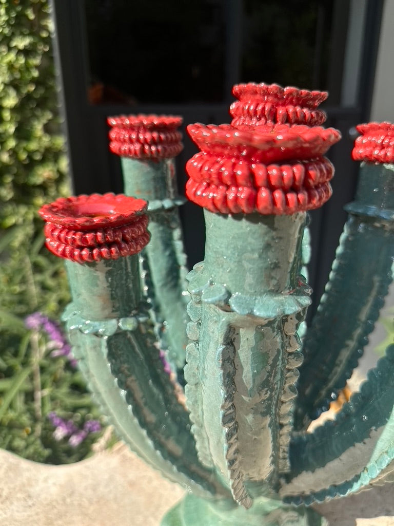 Candelabro cactus azul con rojo