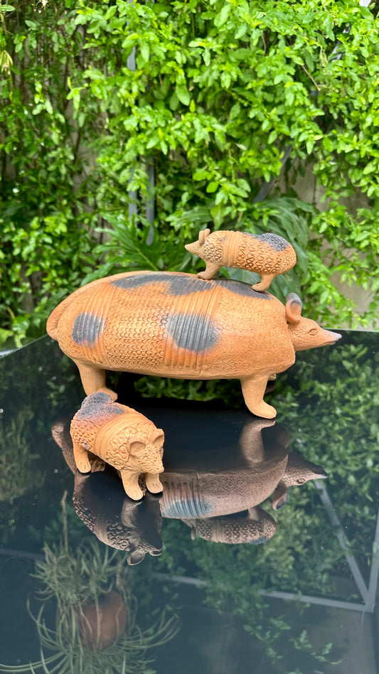 Armadillo y sus hijos