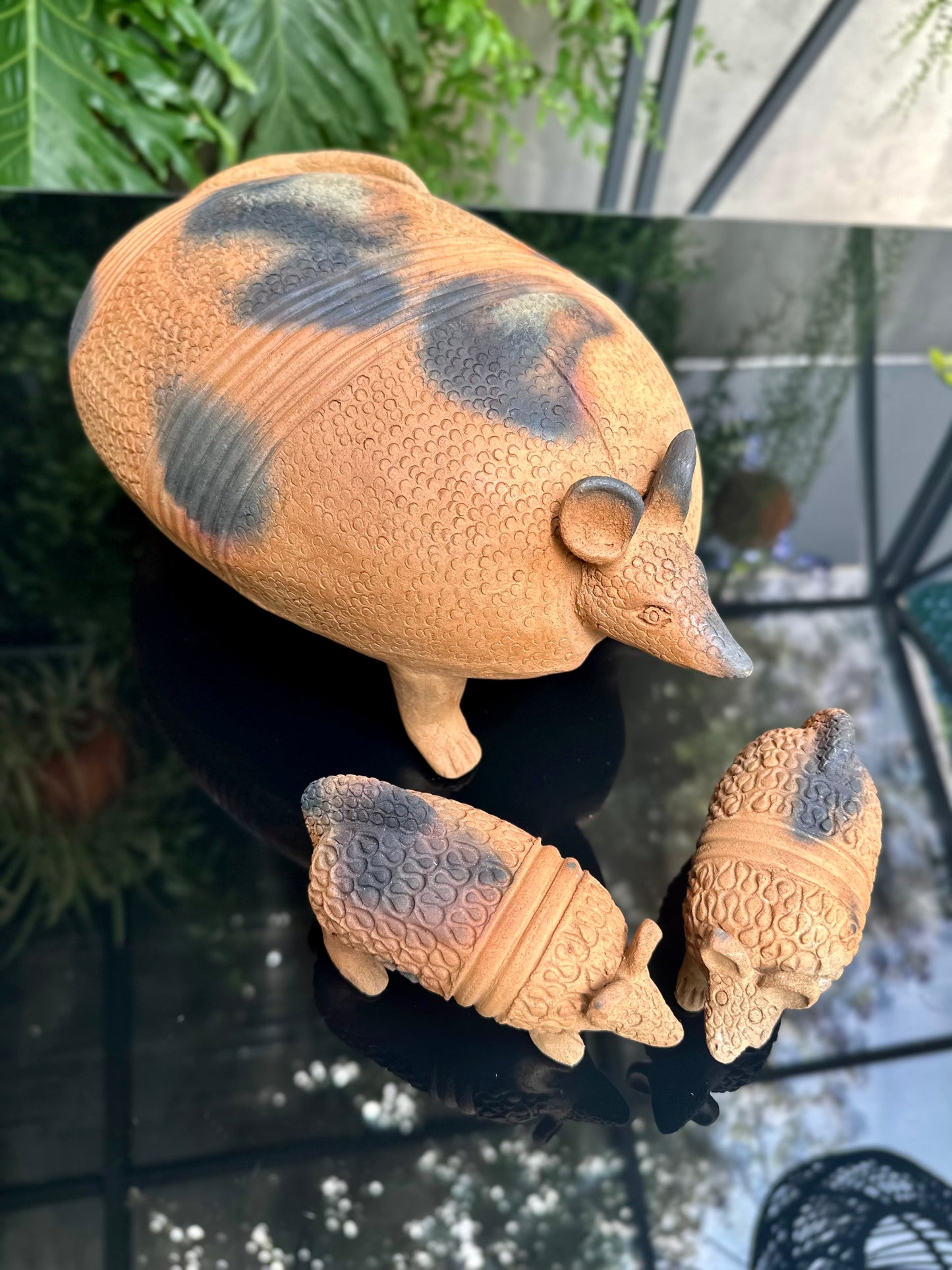 Armadillo y sus hijos