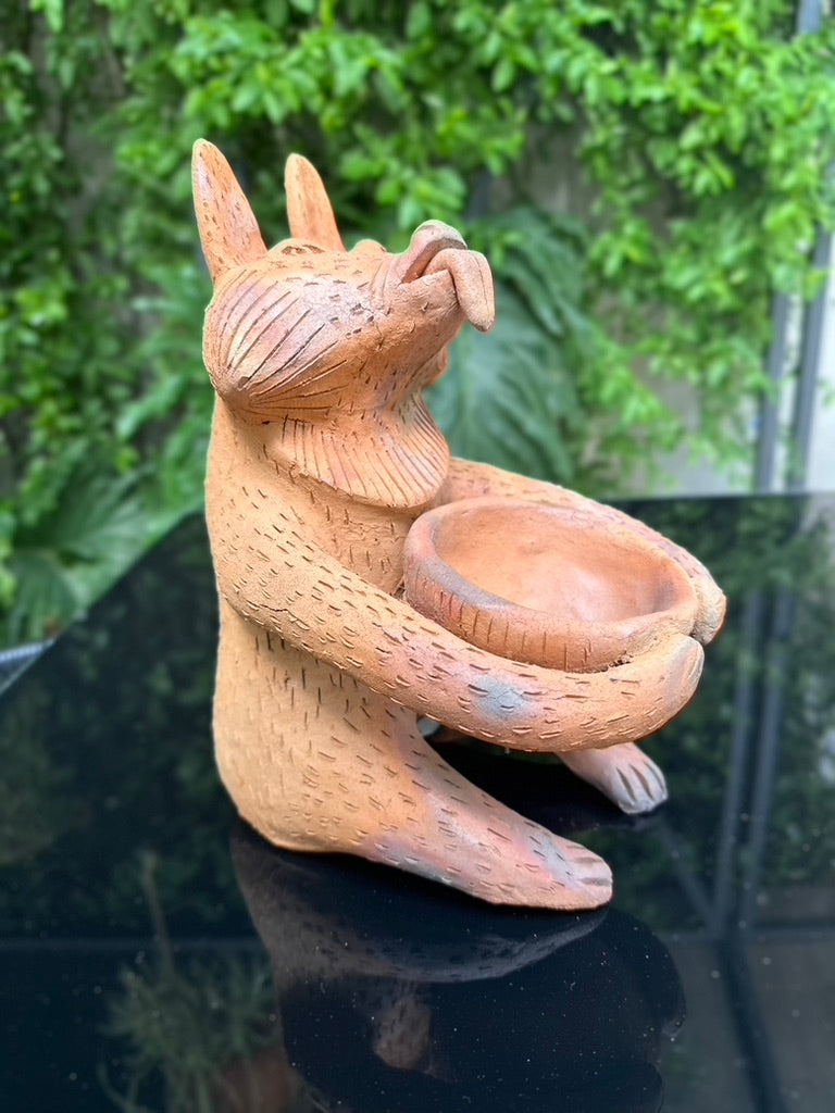 Coyote copalero