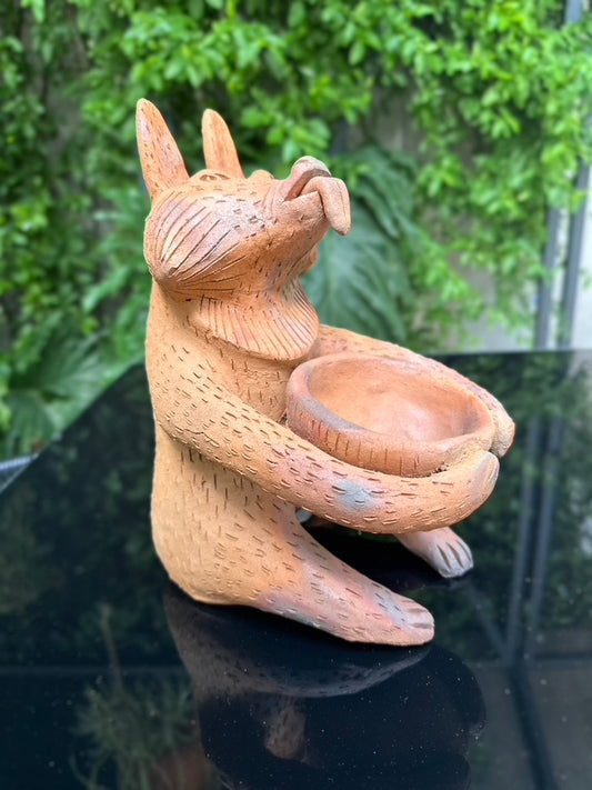 Coyote copalero