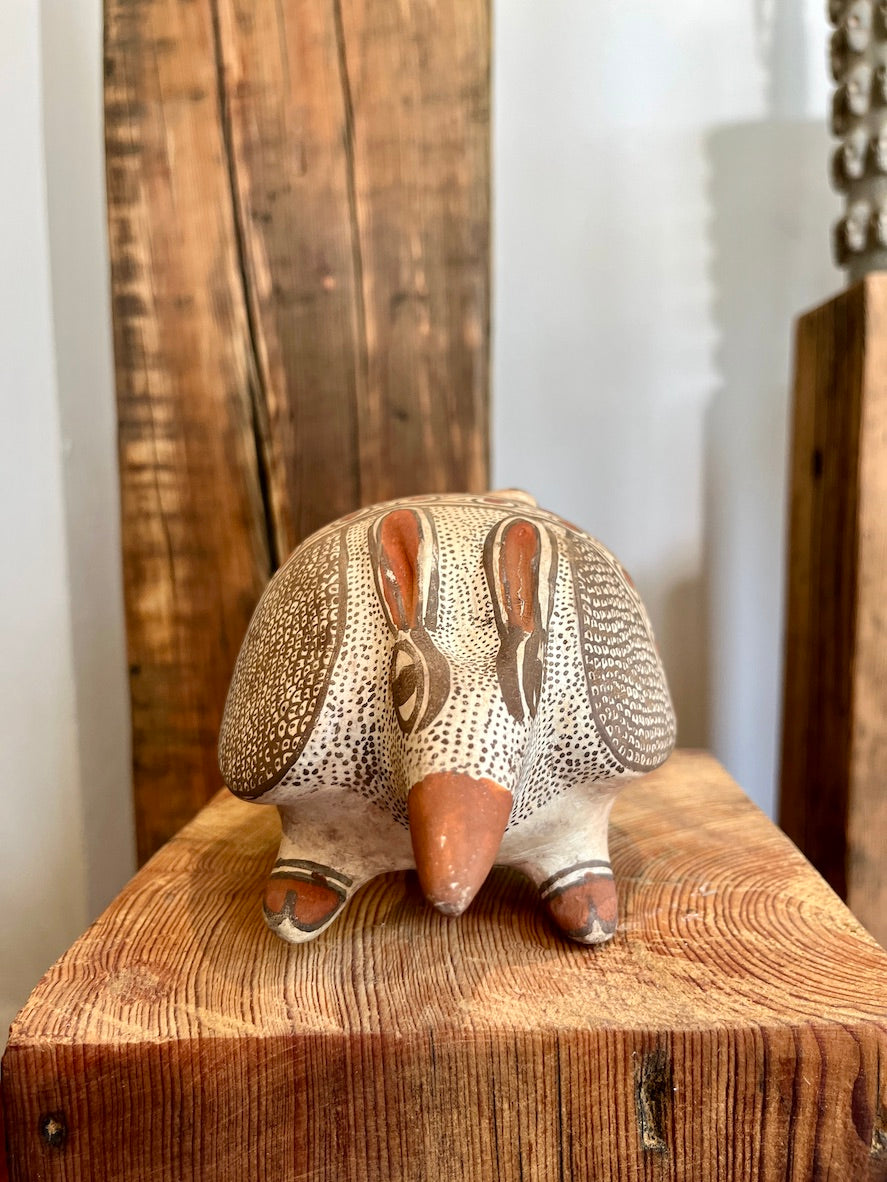 Alcancia armadillo grande