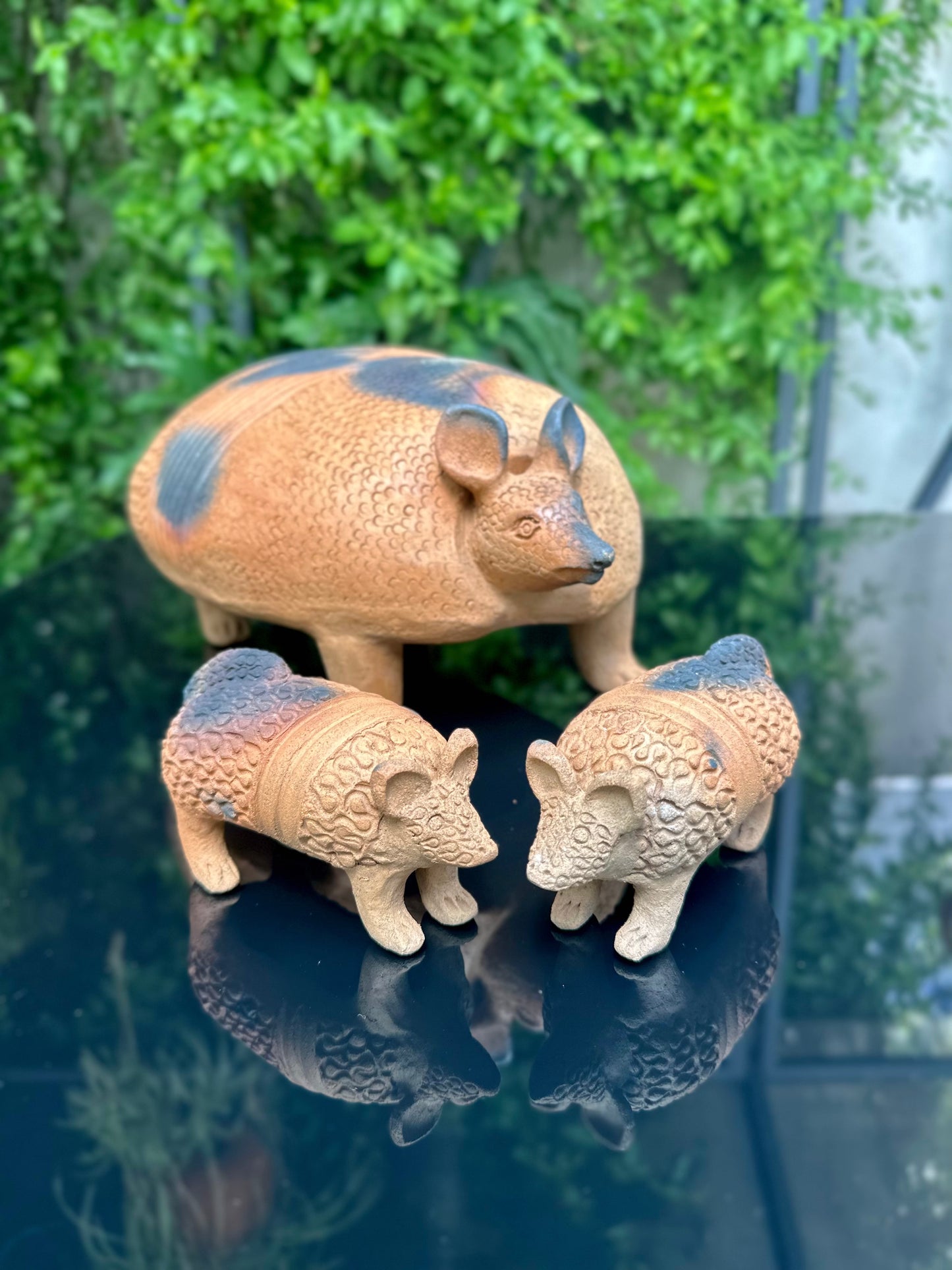 Armadillo y sus hijos