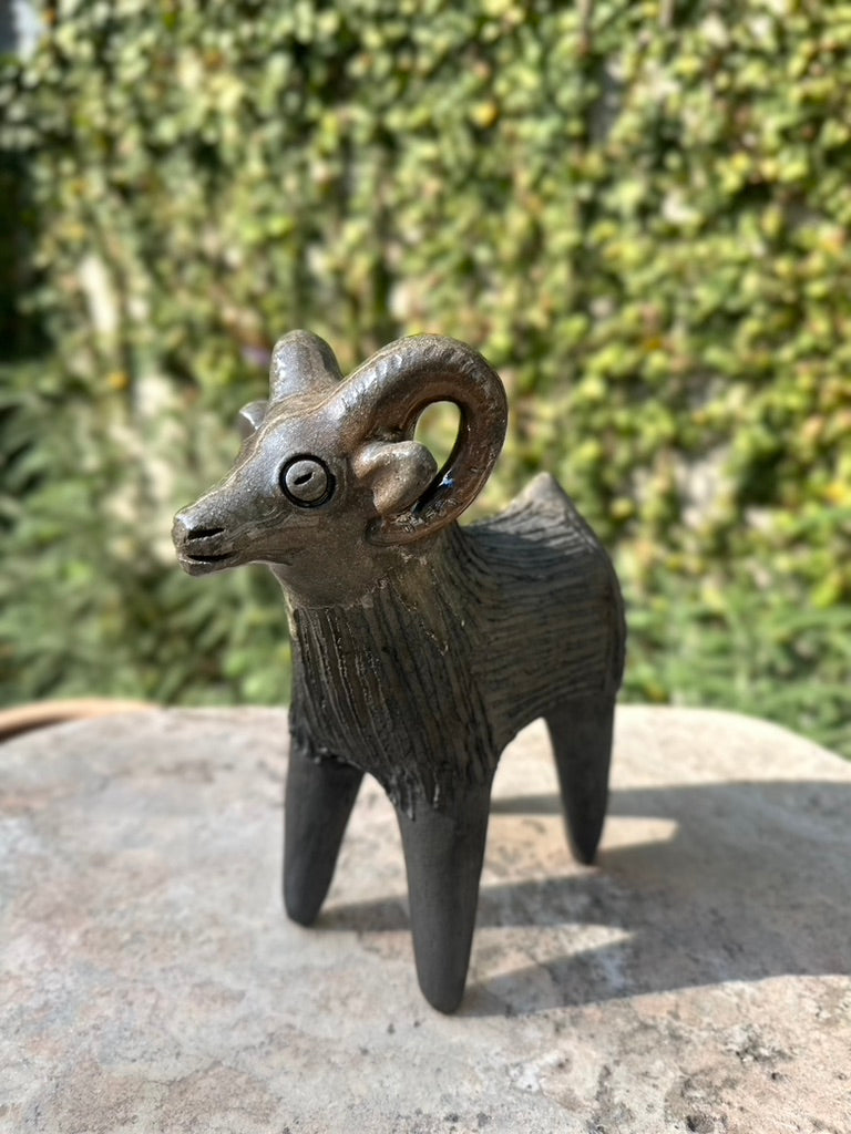 Chivo chia grande