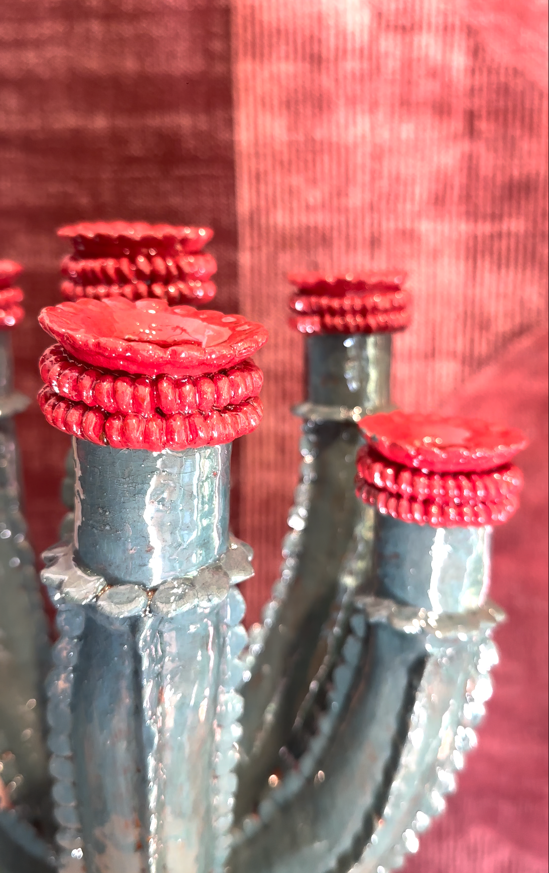 Candelabro cactus azul con rojo