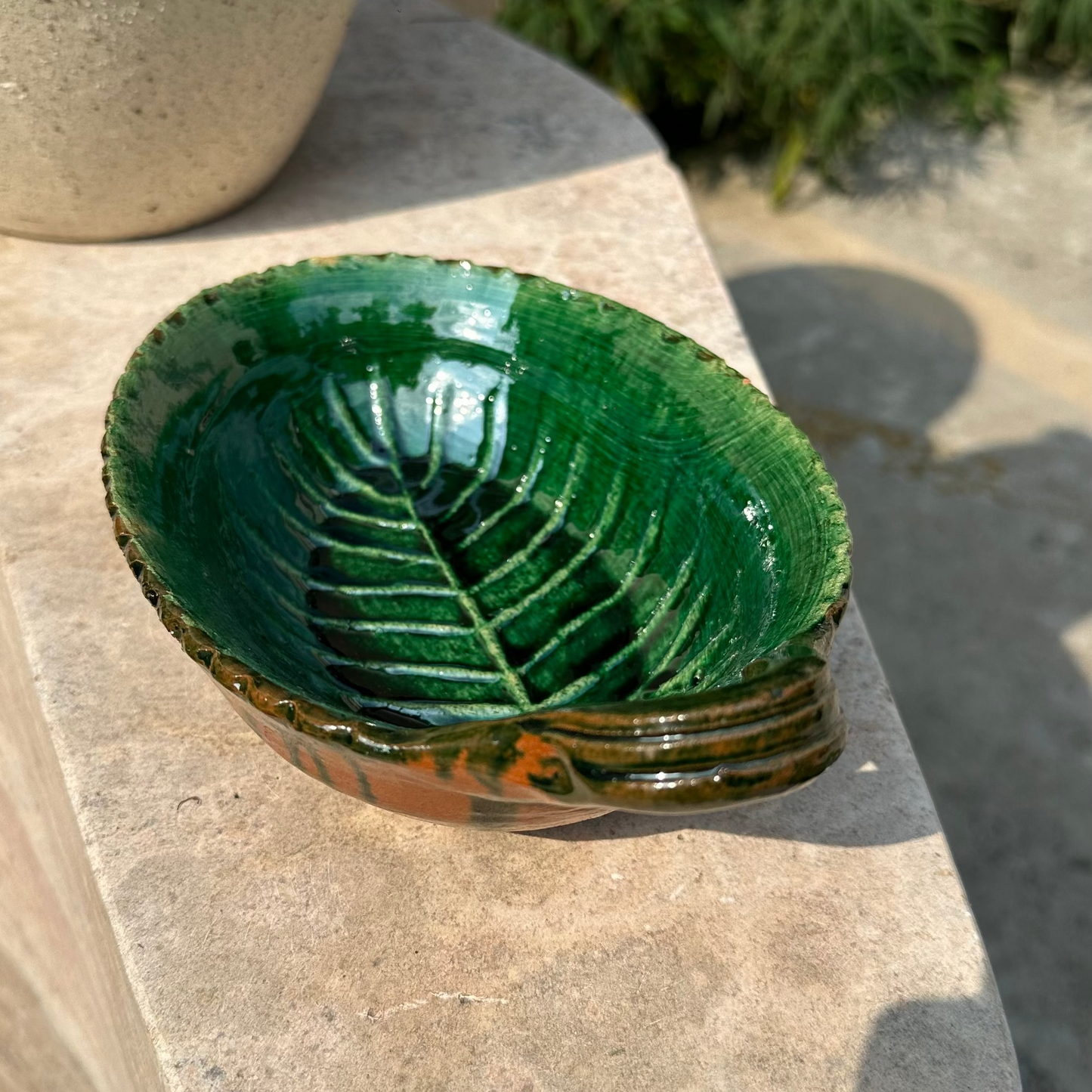 Platos de hoja botaneros