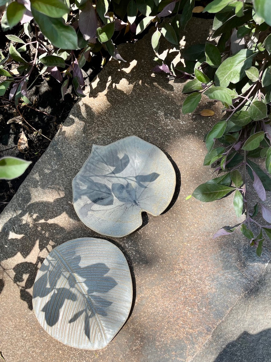 Platos botaneros de hoja