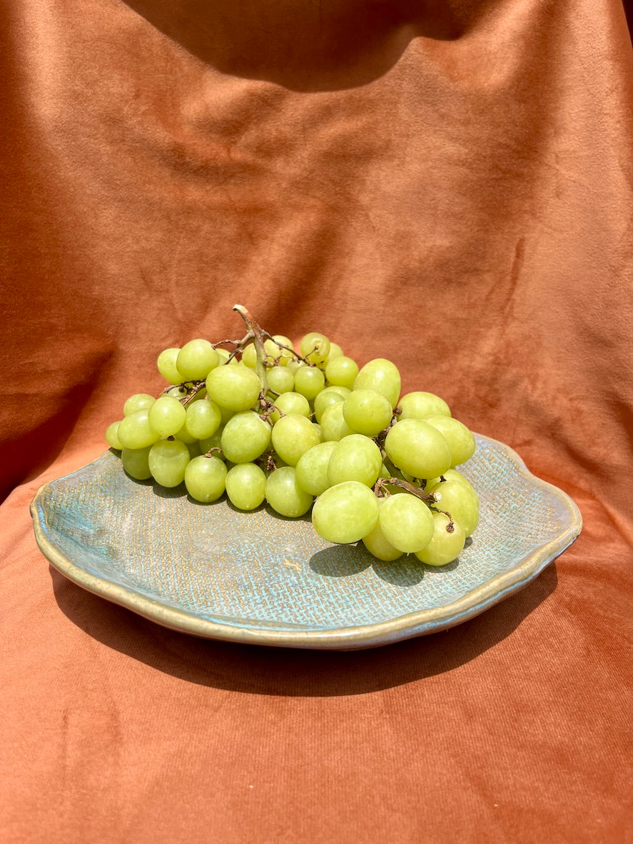 Plato  botanero rayado
