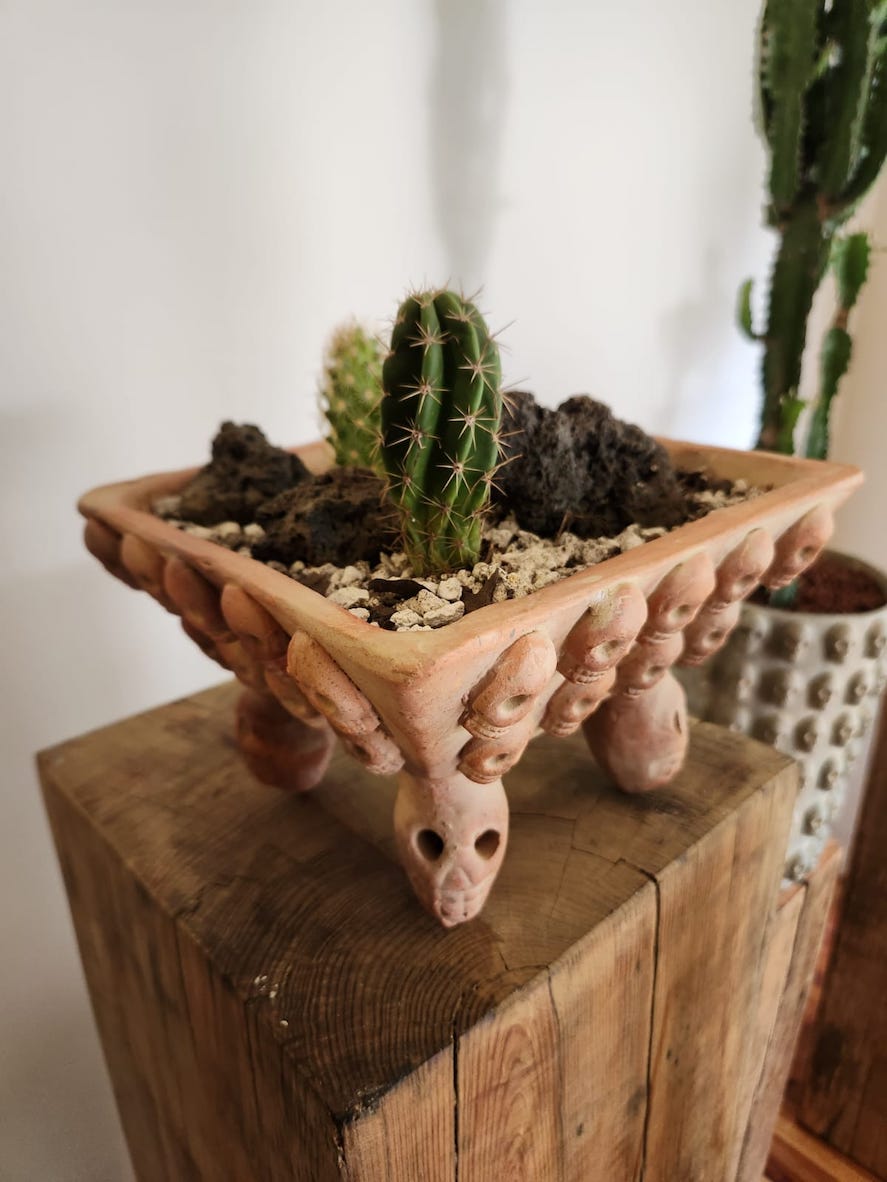 Terrario de calacas cuadrado con cactus