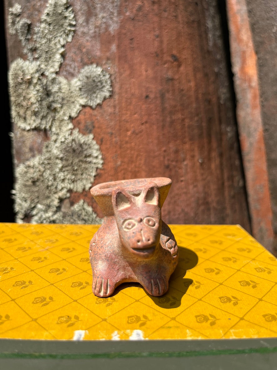 Xolo mini en cono